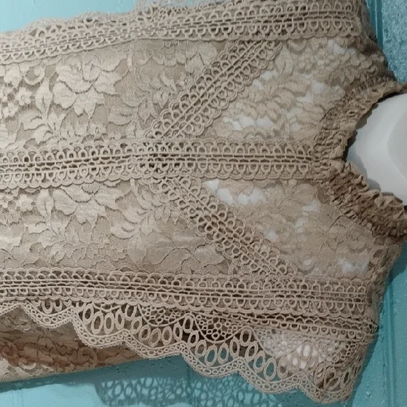 Cable & Gauge Beige Lace Sleeveless Blouse Size Small. - Picture 5 of 9